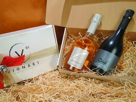 Christmas gifts VIGNA61