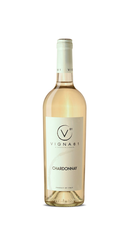 CHARDONNAY | IGT Marca Trevigiana