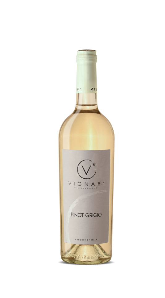 PINOT GRIGIO | DOC delle Venezie