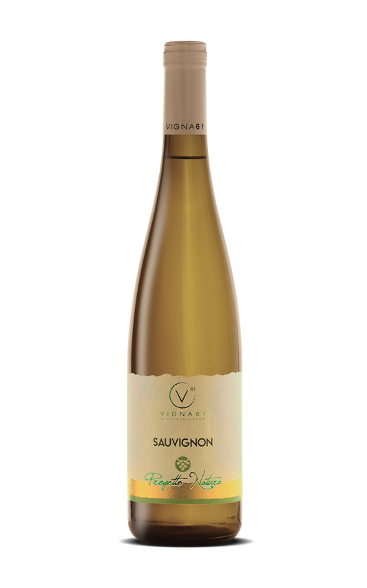 SAUVIGNON | Marca Trevigiana IGT