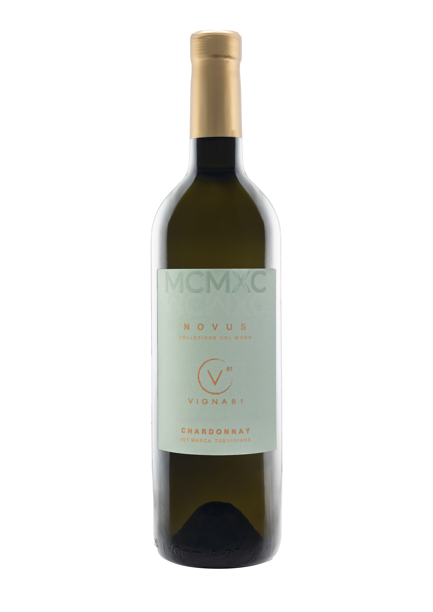 CHARDONNAY | IGT Marca Trevigiana