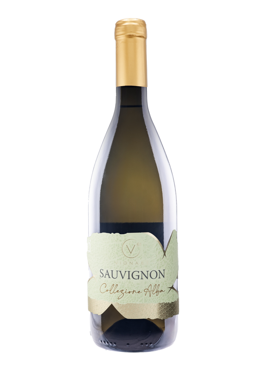 SAUVIGNON | IGT Marca Trevigiana